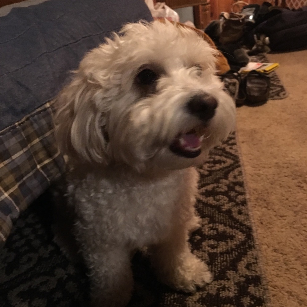 Meet your Posher, Lisa